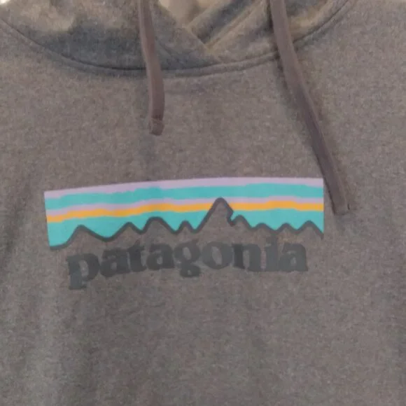 Patagonia Uprisal P-6 Logo Hoody Size M - Picture 2 of 11